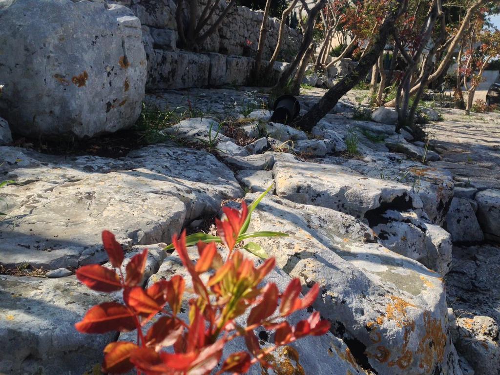 Villa Giuseppina Monopoli Εξωτερικό φωτογραφία